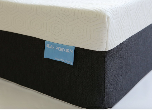 The Bear Mattress