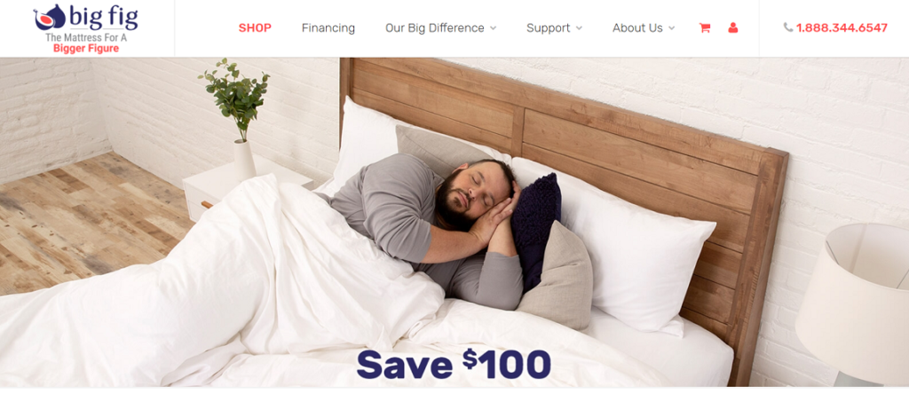 Big Fig mattress