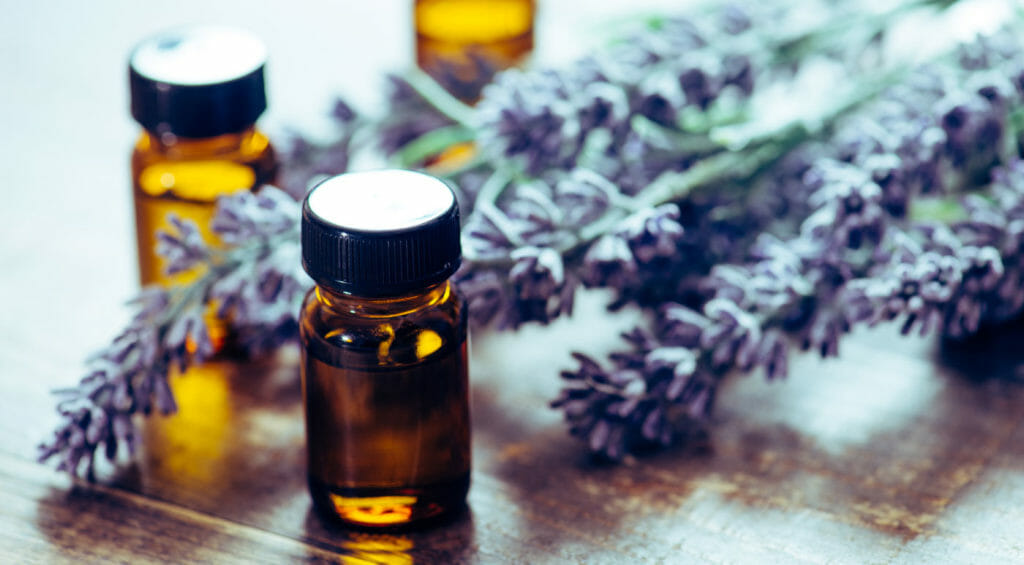 OMR Review EssentialOil 1 Lavender