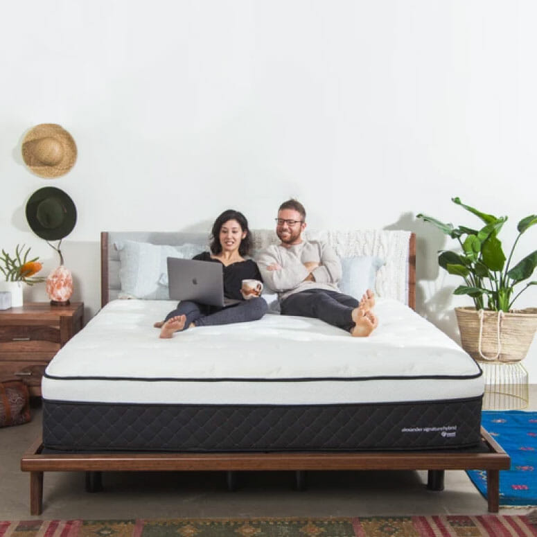 Nest Bedding Alexander Signature Hybrid