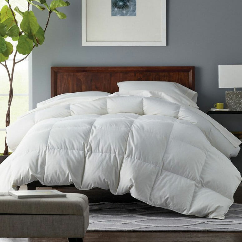 Alberta™ Euro Down Comforter