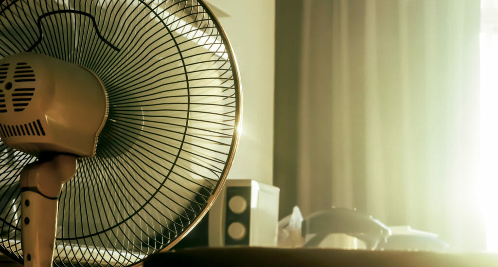 10 Best Room Fans for 2020 Online Mattress Review