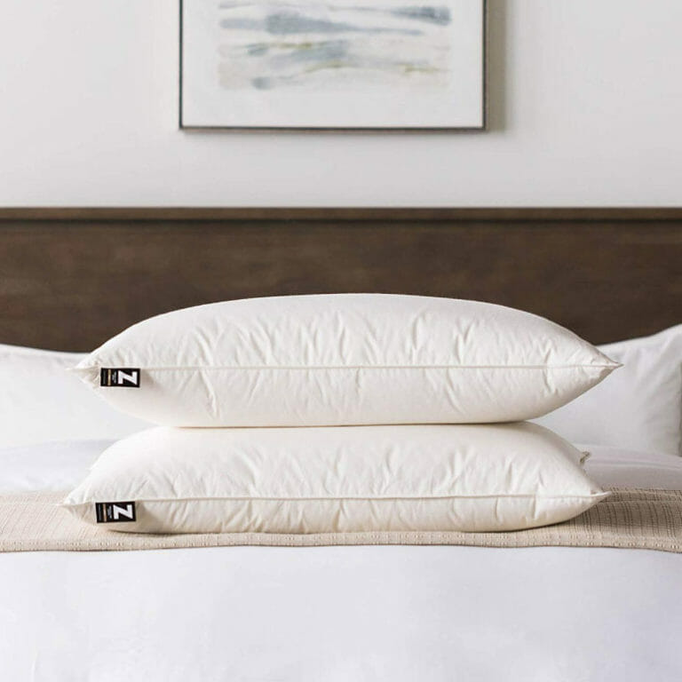 10 Best Feather Pillows in 2023 Online Mattress Review