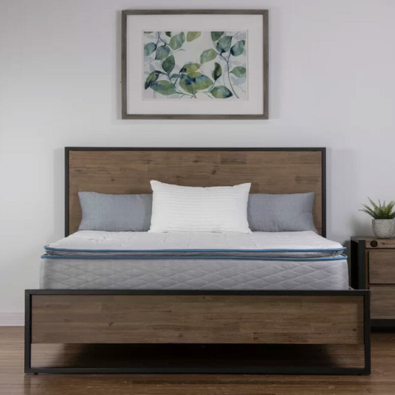 Wayfair 11” Plush Basic Premium Foam Mattress