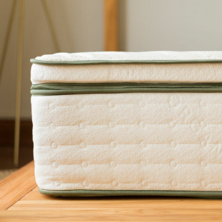 avocado mattress pillow top