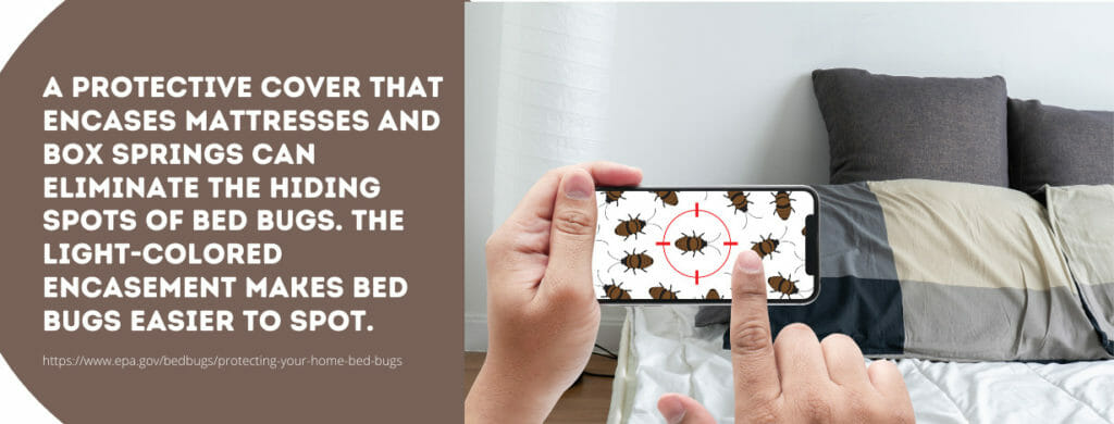 Bed Bugs fact 1