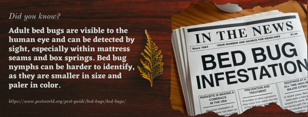 Bed Bugs fact 2