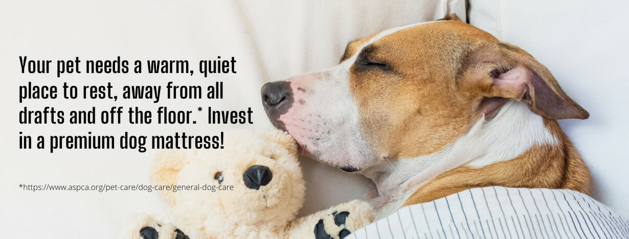 OMR Dog Mattresses fact 1