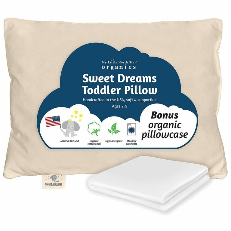 The 10 Best Pillows for Kids in 2022 Online Mattress Review