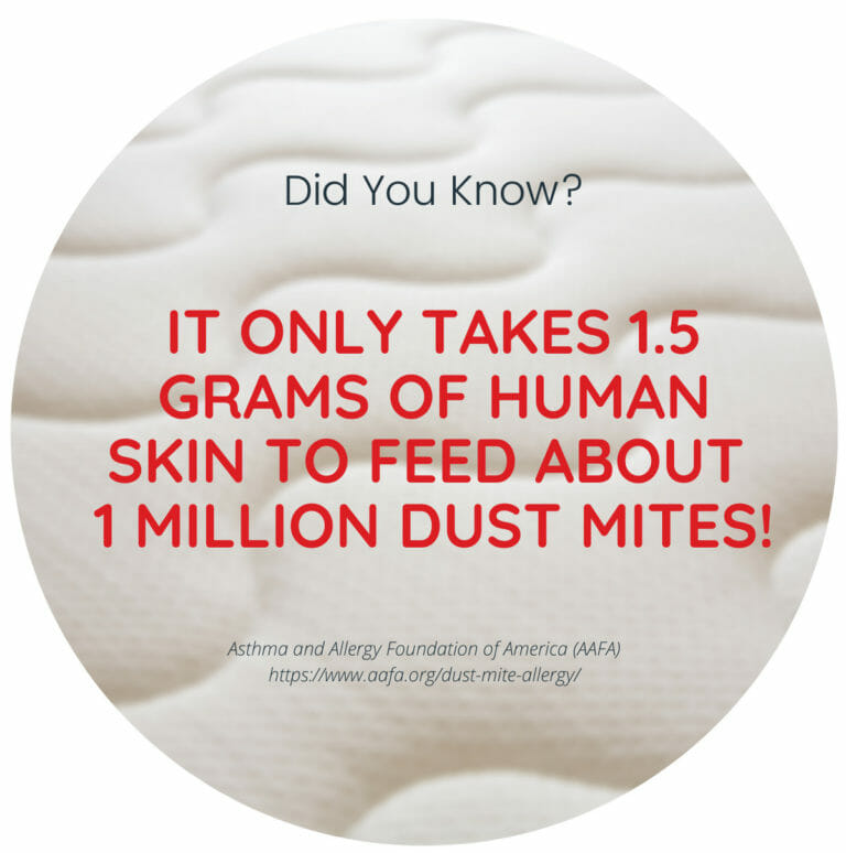 How Often Should You Wash Your Sheets? Online Mattress Review