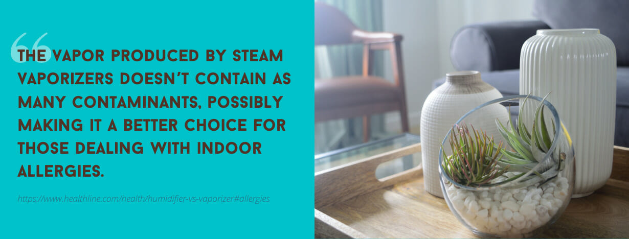 Best Humidifiers, Dehumidifiers and Vaporizers fact 3